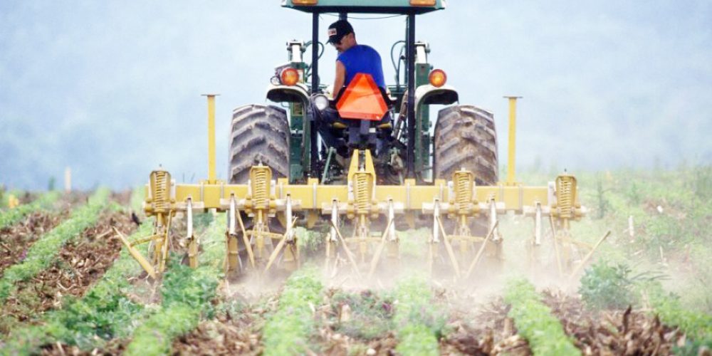 Έως την Τετάρτη 6 Απριλίου η πρώτη δήλωση αποθεμάτων γεωργικών προϊόντων και τροφίμων.