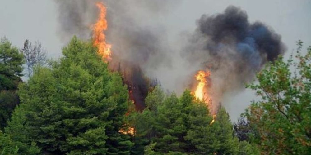 Υποχρεώσεις επιχειρήσεων και δικαιώματα εργαζομένων σε συνθήκες ανωτέρας βίας